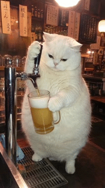 bier def drunk vino despe cerveza dui soiree feria fiesta teuf apero taux bday anniv