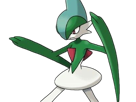 gallame-gallade-erureido-pokemon-pkm-jeu-anime-type-psy-combat-4g-sinnoh-lame