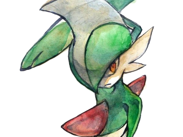 gallame gallade erureido pokemon pkm jeu anime type psy combat 4g sinnoh lame