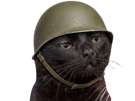 chat-noir-soldat-guerre-casque