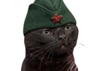 chat-noir-communiste-coco-casquette-soviet