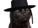 chat-noir-chapeau-juif-jifu-sioniste