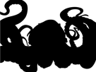 pieuvre-poulpe