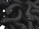 boule-serpent-serpents-rassemblement-groupe-entremeles-entremele