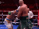 usyk-fury-oleksandr-boxe-boxeur-poids-lourds-champion-tyson-ko-knockdown-patate-gif