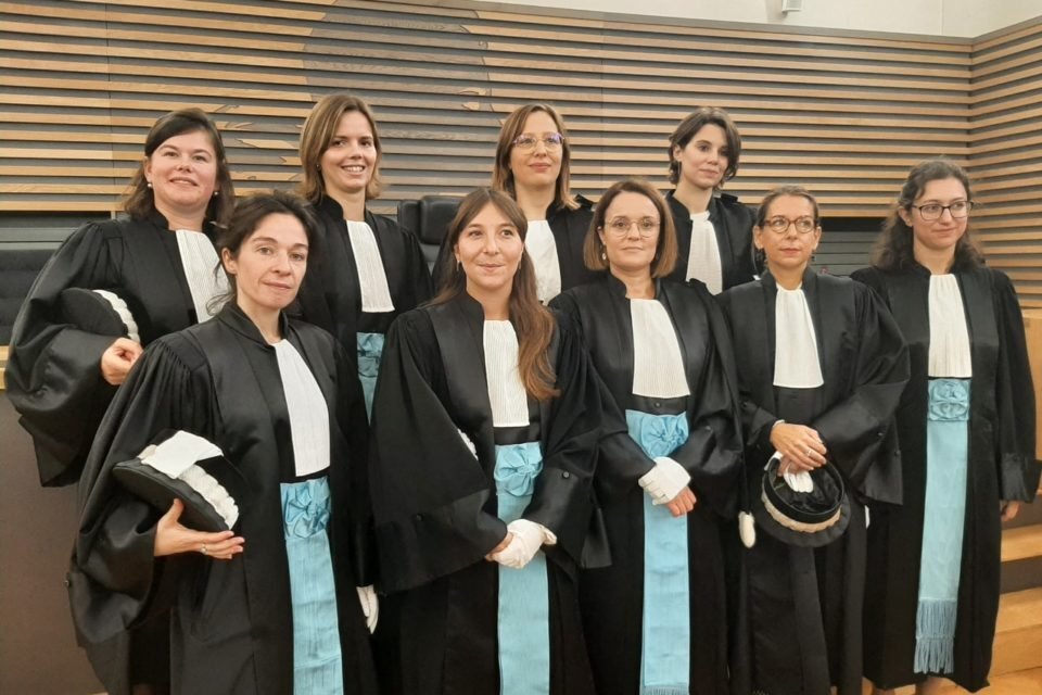 gav pig tribunal penal mgtow 135 cuff femen wokism metoo jail law cour barre nada
