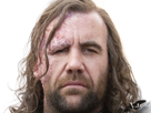 sandor-clegane-limier-chien-cicatrice-brule-game-thrones-agot-serie-rory-mccann-homme-yeux-marrons-cheveux-bruns