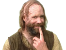 sandor-clegane-limier-chien-cicatrice-brule-game-thrones-agot-serie-rory-mccann-homme-yeux-marrons-cheveux-bruns