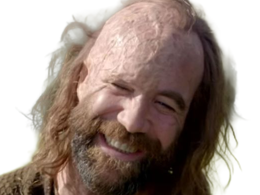 sandor clegane limier chien cicatrice brule game thrones agot serie rory mccann homme yeux-marrons cheveux-bruns
