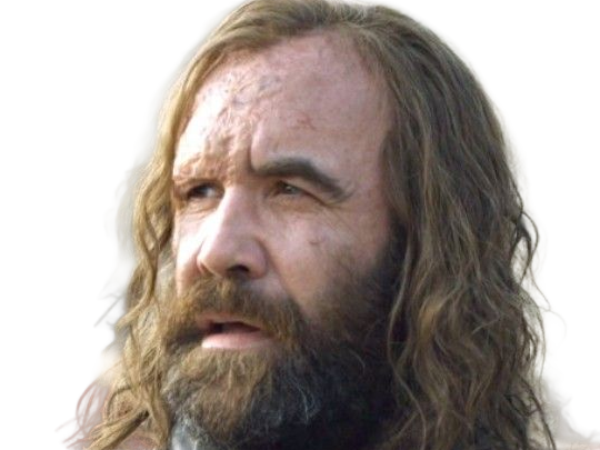 sandor clegane limier chien cicatrice brule game thrones agot serie rory mccann homme yeux-marrons cheveux-bruns
