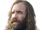 sandor-clegane-limier-chien-cicatrice-brule-game-thrones-agot-serie-rory-mccann-homme-yeux-marrons-cheveux-bruns