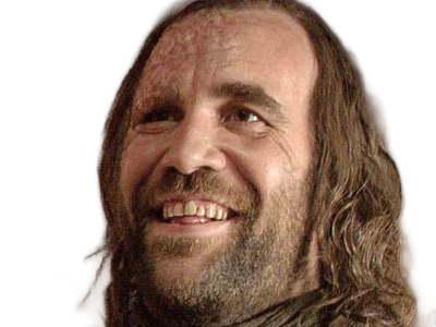 sandor clegane limier chien cicatrice brule game thrones agot serie rory mccann homme yeux-marrons cheveux-bruns