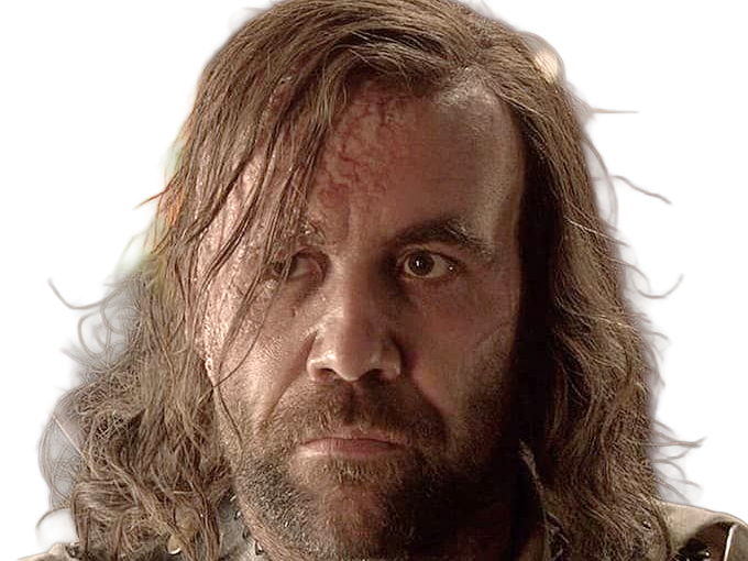 sandor clegane limier chien cicatrice brule game thrones agot serie rory mccann homme yeux-marrons cheveux-bruns