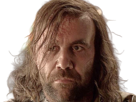 sandor-clegane-limier-chien-cicatrice-brule-game-thrones-agot-serie-rory-mccann-homme-yeux-marrons-cheveux-bruns