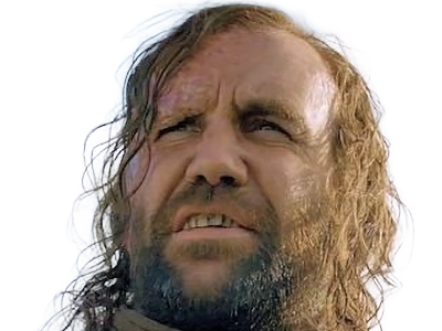 sandor clegane limier chien cicatrice brule game thrones agot serie rory mccann homme yeux-marrons cheveux-bruns