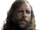 sandor-clegane-limier-chien-cicatrice-brule-game-thrones-agot-serie-rory-mccann-homme-yeux-marrons-cheveux-bruns