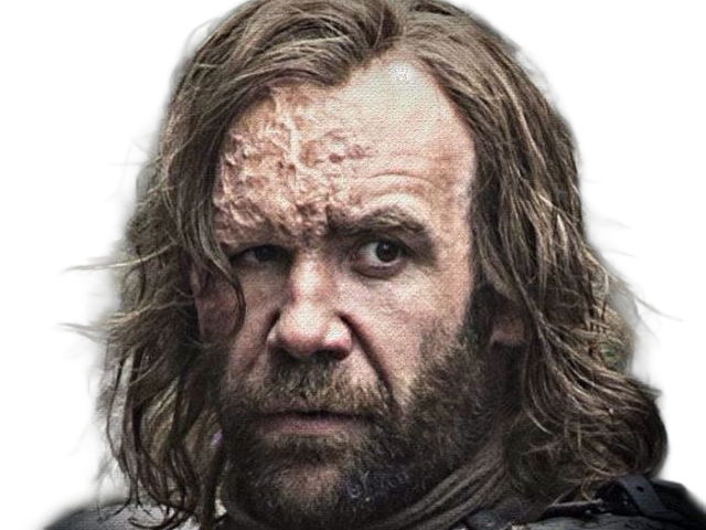 sandor clegane limier chien cicatrice brule game thrones agot serie rory mccann homme yeux-marrons cheveux-bruns