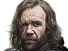 sandor-clegane-limier-chien-cicatrice-brule-game-thrones-agot-serie-rory-mccann-homme-yeux-marrons-cheveux-bruns