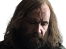 sandor-clegane-limier-chien-cicatrice-brule-game-thrones-agot-serie-rory-mccann-homme-yeux-marrons-cheveux-bruns