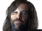sandor-clegane-limier-chien-cicatrice-brule-game-thrones-agot-serie-rory-mccann-homme-yeux-marrons-cheveux-bruns