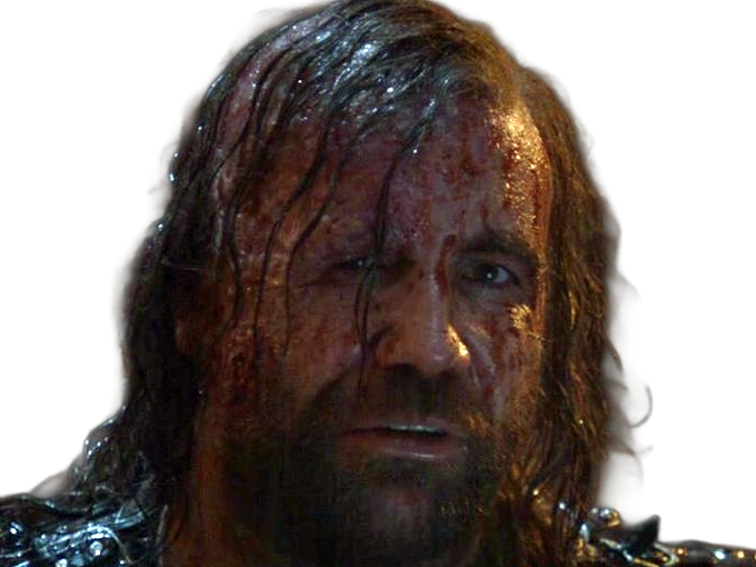 sandor clegane limier chien cicatrice brule game thrones agot serie rory mccann homme yeux-marrons cheveux-bruns