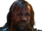 sandor-clegane-limier-chien-cicatrice-brule-game-thrones-agot-serie-rory-mccann-homme-yeux-marrons-cheveux-bruns