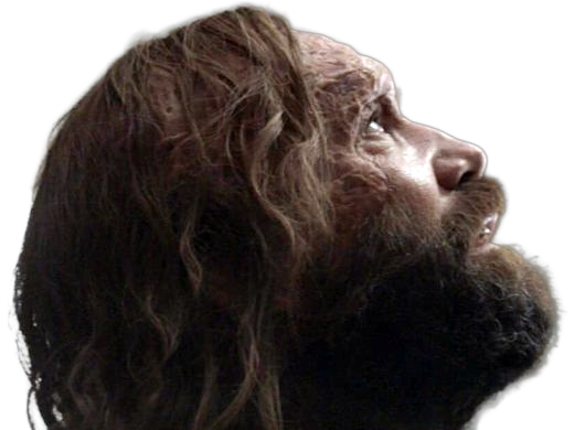 sandor clegane limier chien cicatrice brule game thrones agot serie rory mccann homme yeux-marrons cheveux-bruns