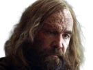 sandor-clegane-limier-chien-cicatrice-brule-game-thrones-agot-serie-rory-mccann-homme-yeux-marrons-cheveux-bruns