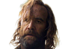 sandor-clegane-limier-chien-cicatrice-brule-game-thrones-agot-serie-rory-mccann-homme-yeux-marrons-cheveux-bruns