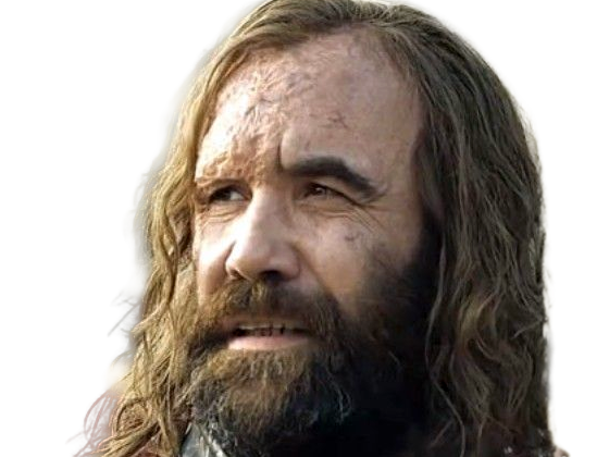 sandor clegane limier chien cicatrice brule game thrones agot serie rory mccann homme yeux-marrons cheveux-bruns