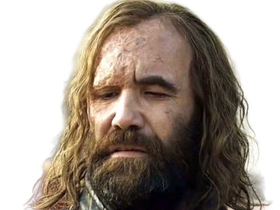 sandor clegane limier chien cicatrice brule game thrones agot serie rory mccann homme yeux-marrons cheveux-bruns