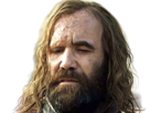 sandor-clegane-limier-chien-cicatrice-brule-game-thrones-agot-serie-rory-mccann-homme-yeux-marrons-cheveux-bruns