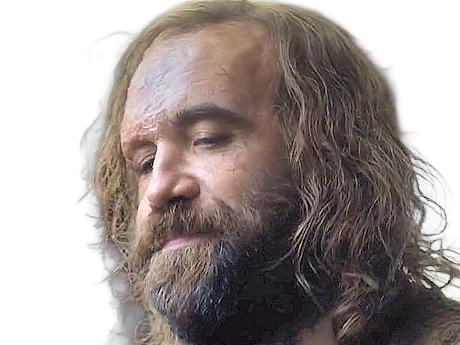 sandor clegane limier chien cicatrice brule game thrones agot serie rory mccann homme yeux-marrons cheveux-bruns