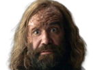 sandor-clegane-limier-chien-cicatrice-brule-game-thrones-agot-serie-rory-mccann-homme-yeux-marrons-cheveux-bruns