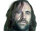 sandor-clegane-limier-chien-cicatrice-brule-game-thrones-agot-serie-rory-mccann-homme-yeux-marrons-cheveux-bruns