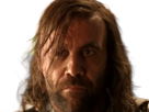 sandor-clegane-limier-chien-cicatrice-brule-game-thrones-agot-serie-rory-mccann-homme-yeux-marrons-cheveux-bruns