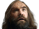 sandor-clegane-limier-chien-cicatrice-brule-game-thrones-agot-serie-rory-mccann-homme-yeux-marrons-cheveux-bruns