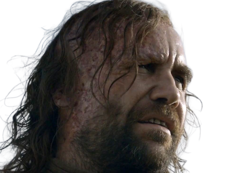 sandor clegane limier chien cicatrice brule game thrones agot serie rory mccann homme yeux-marrons cheveux-bruns