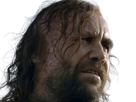 sandor-clegane-limier-chien-cicatrice-brule-game-thrones-agot-serie-rory-mccann-homme-yeux-marrons-cheveux-bruns
