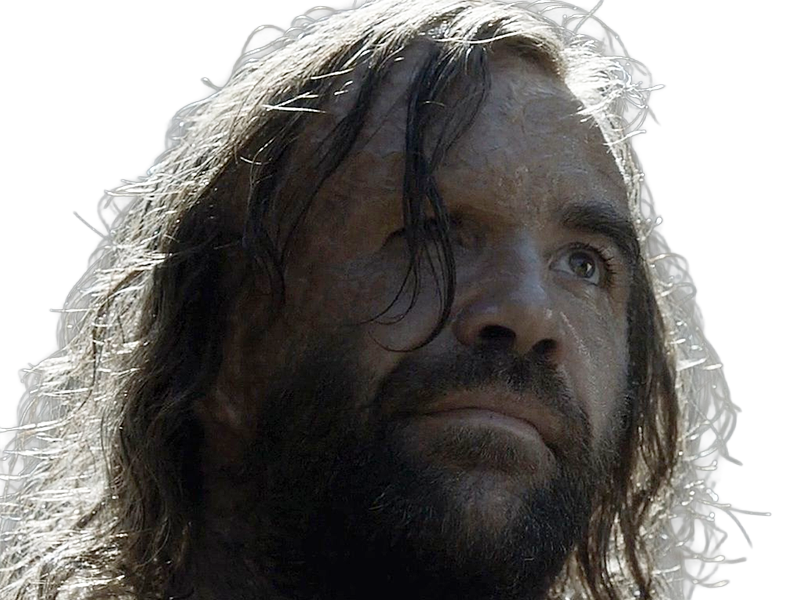 sandor clegane limier chien cicatrice brule game thrones agot serie rory mccann homme yeux-marrons cheveux-bruns
