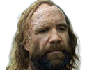 sandor-clegane-limier-chien-cicatrice-brule-game-thrones-agot-serie-rory-mccann-homme-yeux-marrons-cheveux-bruns