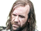 sandor-clegane-limier-chien-cicatrice-brule-game-thrones-agot-serie-rory-mccann-homme-yeux-marrons-cheveux-bruns