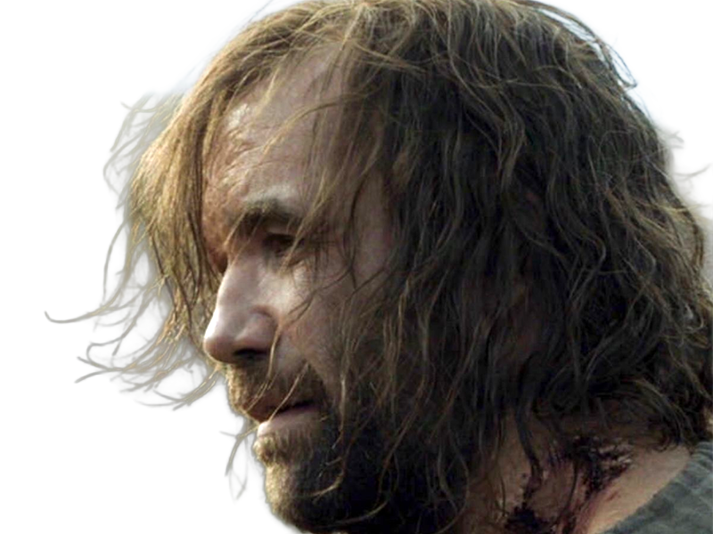 sandor clegane limier chien cicatrice brule game thrones agot serie rory mccann homme yeux-marrons cheveux-bruns