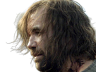 sandor-clegane-limier-chien-cicatrice-brule-game-thrones-agot-serie-rory-mccann-homme-yeux-marrons-cheveux-bruns