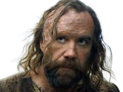 sandor clegane limier chien cicatrice brule game thrones agot serie rory mccann homme yeux-marrons cheveux-bruns