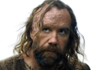 sandor-clegane-limier-chien-cicatrice-brule-game-thrones-agot-serie-rory-mccann-homme-yeux-marrons-cheveux-bruns