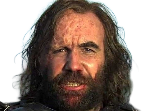 sandor clegane limier chien cicatrice brule game thrones agot serie rory mccann homme yeux-marrons cheveux-bruns