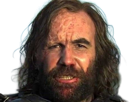 sandor-clegane-limier-chien-cicatrice-brule-game-thrones-agot-serie-rory-mccann-homme-yeux-marrons-cheveux-bruns