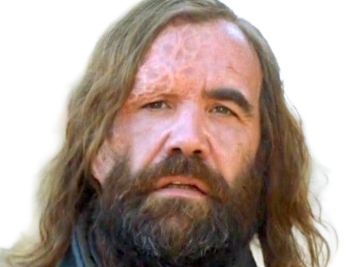 sandor clegane limier chien cicatrice brule game thrones agot serie rory mccann homme yeux-marrons cheveux-bruns