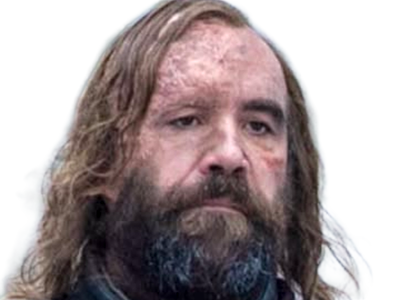 sandor clegane limier chien cicatrice brule game thrones agot serie rory mccann homme yeux-marrons cheveux-bruns